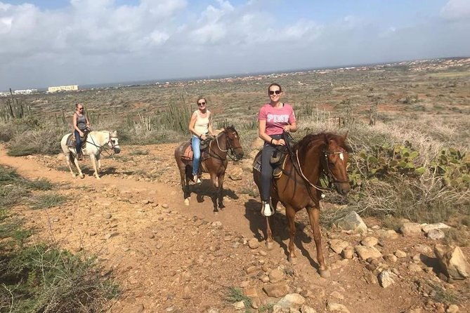 aruba-horseback-riding-tour-to-hidden-lagoon