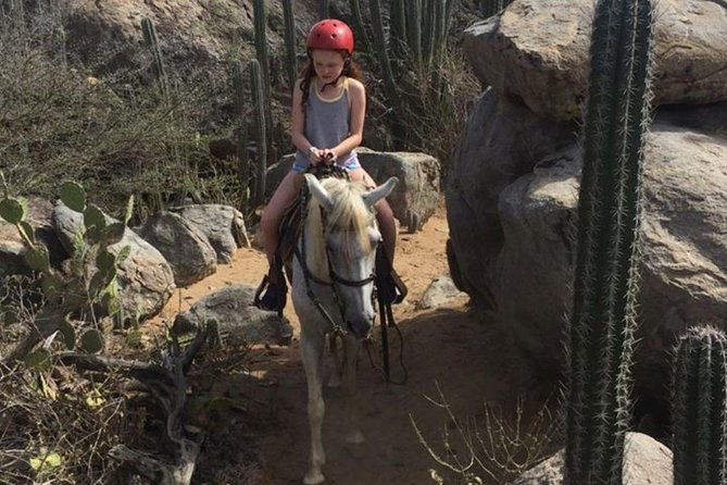 aruba-horseback-riding-tour-to-hidden-lagoon