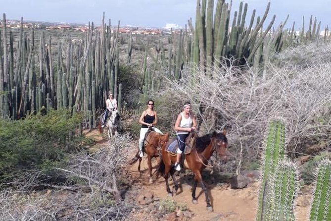 aruba-horseback-riding-tour-to-hidden-lagoon