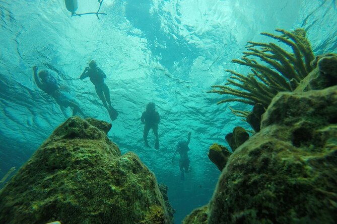 aruba-kayak-explorers