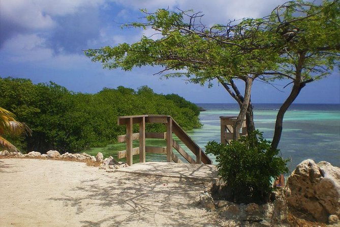 aruba-mangel-halto-and-baby-beach-snorkeling-guided-tour