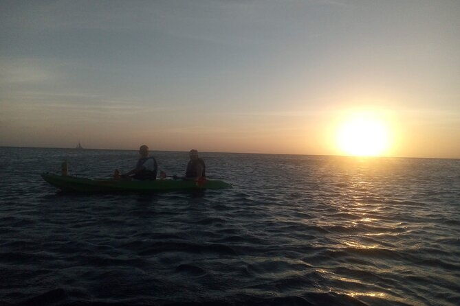 aruba-night-glass-kayak-tour