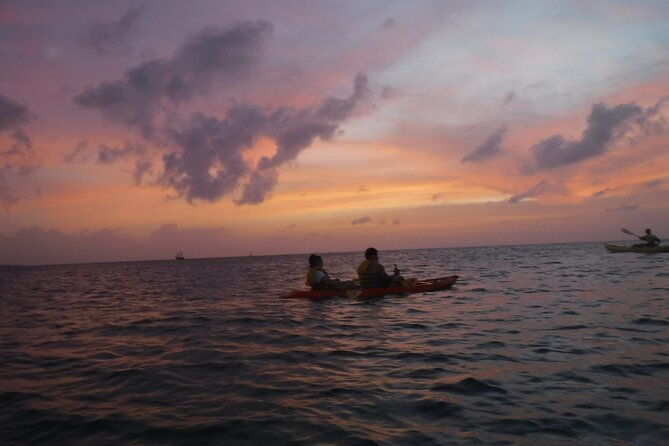 aruba-night-glass-kayak-tour