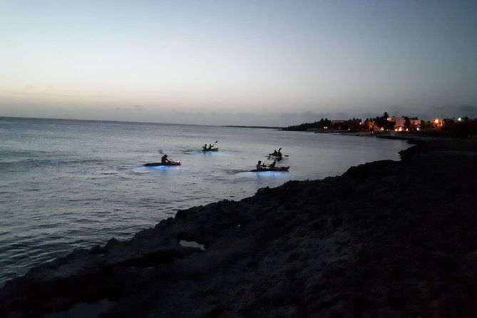 aruba-night-glass-kayak-tour