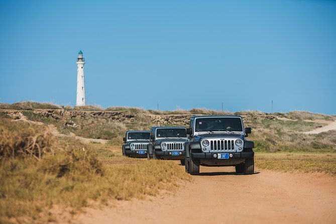 aruba-off-road-adventure-jeep-tour-and-optional-snorkel-cruise