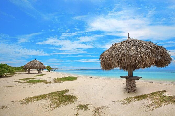 aruba-off-road-adventure-jeep-tour-and-optional-snorkel-cruise