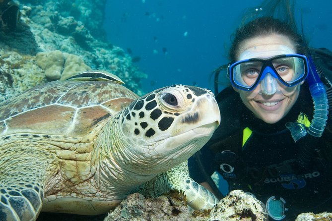 aruba-one-or-two-tank-scuba-dive