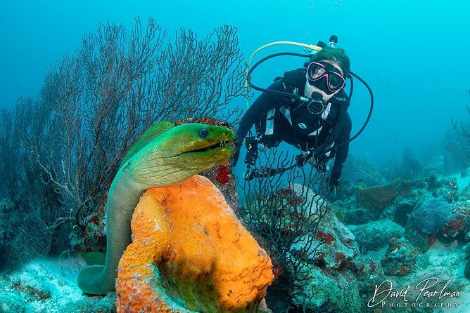 aruba-one-or-two-tank-scuba-dive