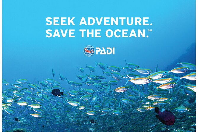 aruba-padi-scuba-diving-program-non-certified-divers