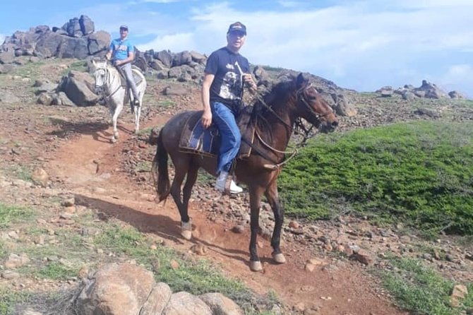 aruba-private-2-hour-horseback-riding-tour-for-advanced-riders