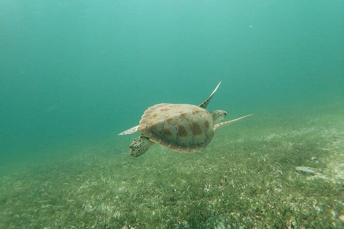 aruba-seabob-scooter-reef-tour