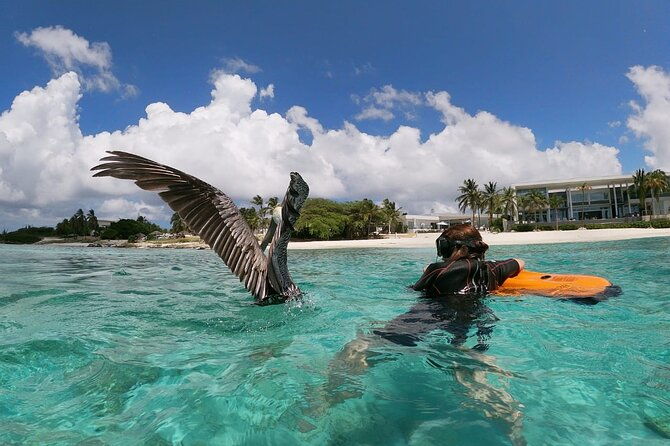 aruba-seabob-scooter-reef-tour