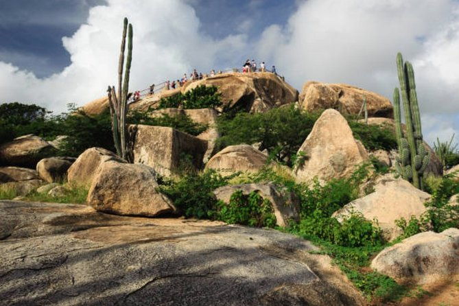 aruba-shore-excursion-the-highlights-and-delights-tour