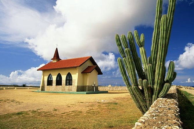 aruba-shore-excursion-the-highlights-and-delights-tour