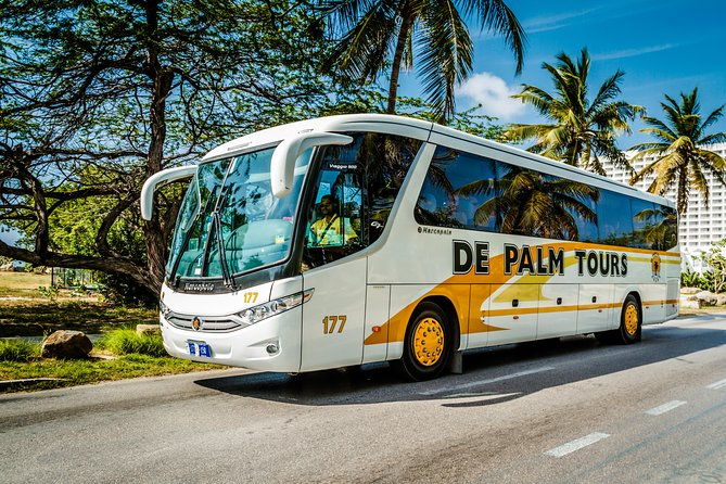 aruba-sightseeing-tour-with-transport