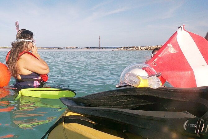 aruba-snorkeling-tour-mangel-halto-and-baby-beach