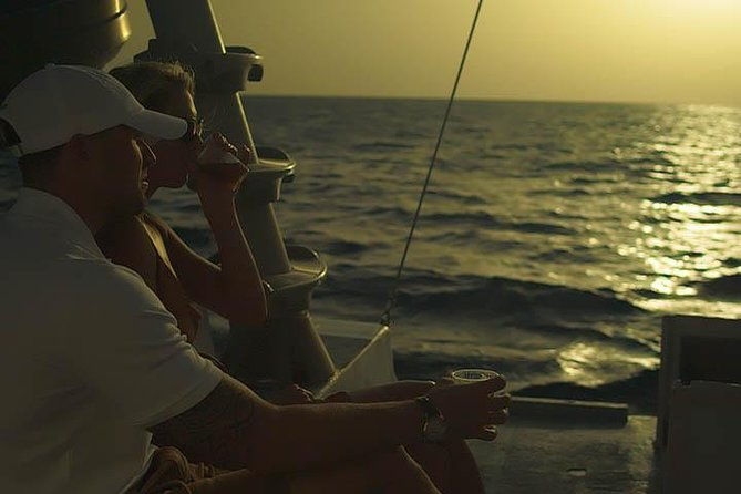 aruba-sunset-sail-cruise-aboard-the-dolphin-catamaran