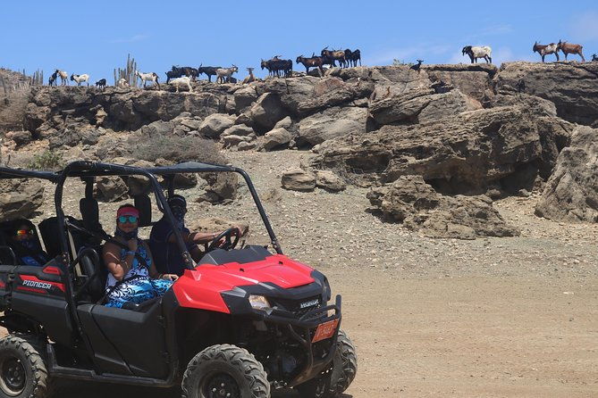 aruba-utv-atv-adventure-to-secret-beach-and-cave-pool