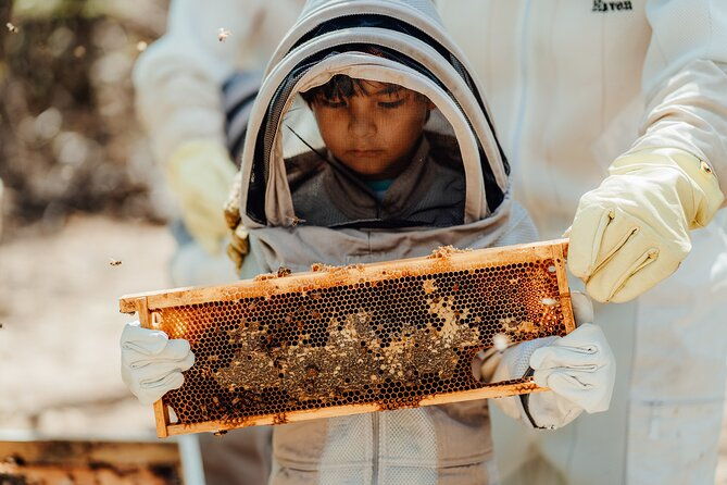 arubas-bee-haven-private-adventure