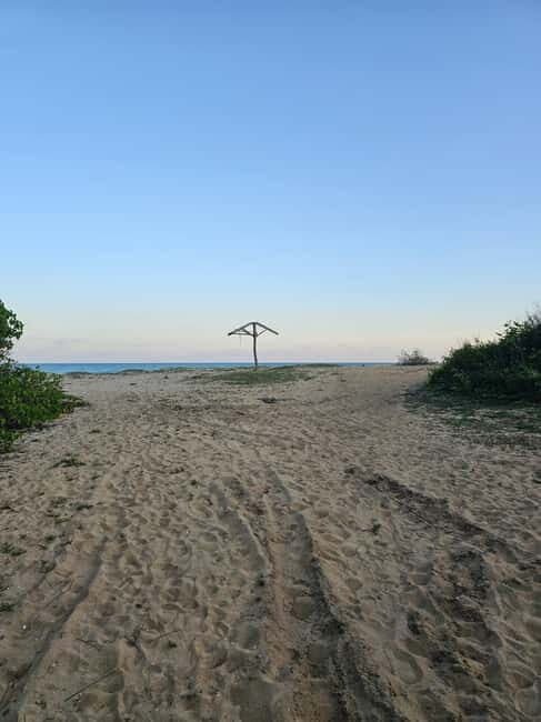 Arugam Bay: Elephant Rock Sunrise or Sunset Tour with Meals - FAQ