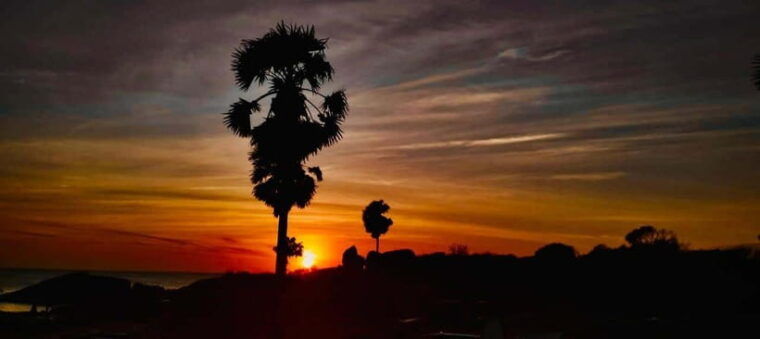 arugam-bay-jungle-bbq-experience-with-hotel-pickup