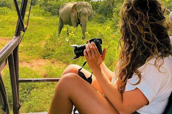 Arugam Bay to Mirissa Shuttle and Safari Drive - Key Points