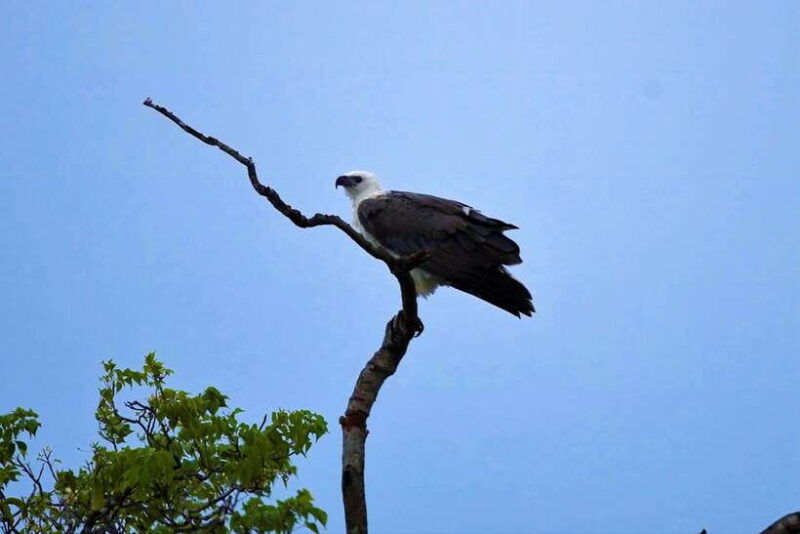 arugambay-pottuvil-lagoon-boat-safari-eco-tours