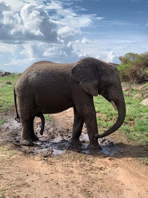 Arusha: 2-Day Safari to Tarangire National Park with Meals - Key Points