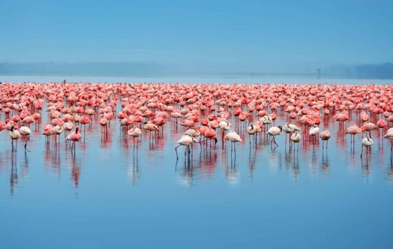 Arusha: 3-Day Lake Eyasi Trip and Safari - An In-Depth Look at the 3-Day Lake Eyasi Safari Experience