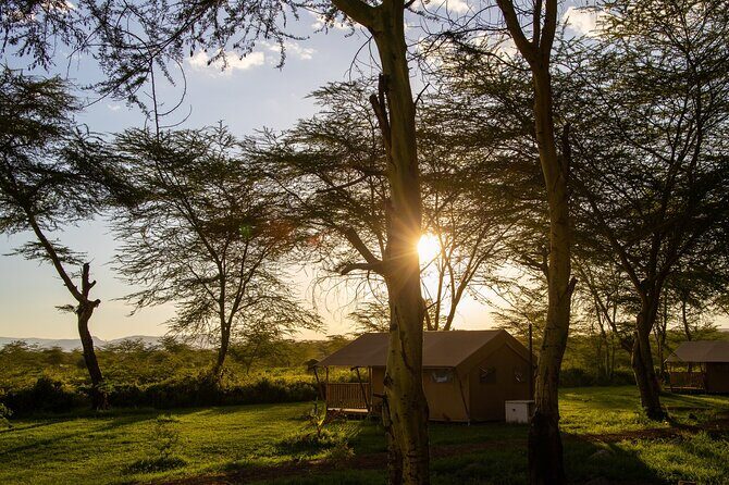 Arusha: 3-Day Safari Tarangire, Flamingo Walk Lake Natron Tour - Practical Details and What to Expect