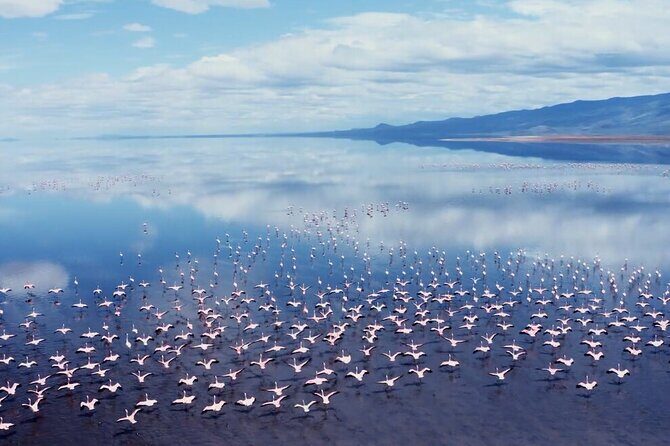 Arusha: 3-Day Safari Tarangire, Flamingo Walk Lake Natron Tour - Who Will Love This Tour?