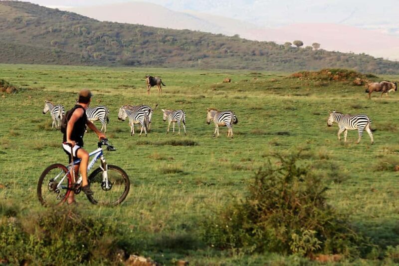 Arusha: 3-Day Safari to Tarangire, Ngorongoro & Lake Manyara - The Itinerary in Detail