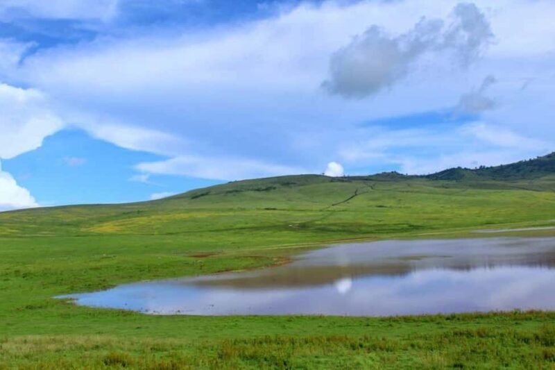 Arusha: 3-Day Serengeti and Ngorongoro Crater Safari - FAQ