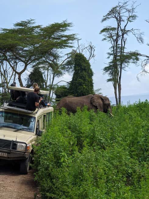 Arusha: 3-Day Serengeti & Ngorongoro Crater Big Five Safari - Final Thoughts: Is This Safari for You?