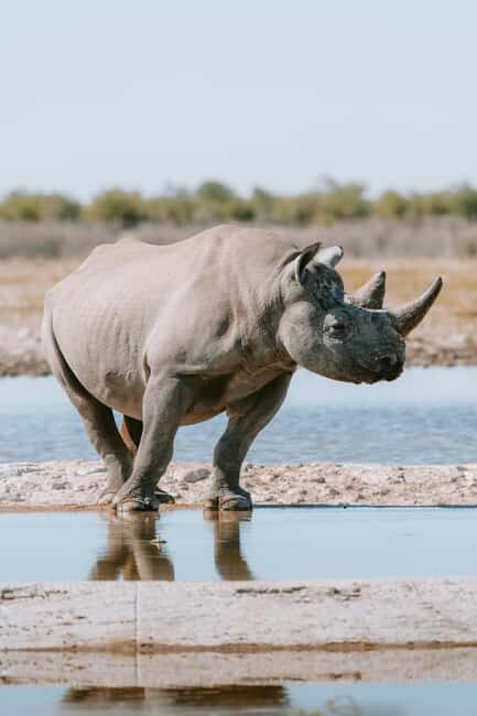 Arusha: 3-Day Tanzania Budget-Friendly Camping Safari - Who is This Safari Best For?
