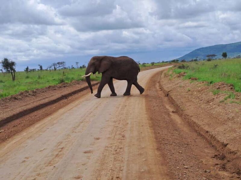 Arusha: 3-Day Tarangire, Ngorongoro & Manyara Safari - Key Points