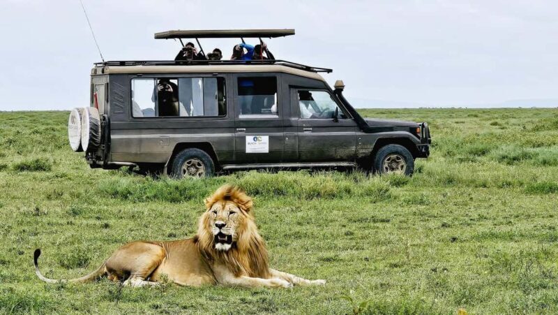Arusha: 3Day Tanzanian Treasures Safari,Ngorongoro,Tarangire - Introduction: What this Safari Offers