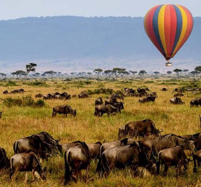 Arusha: 4-Day Big five Safari & Amazing Balloon experience - Transportation and Group Size