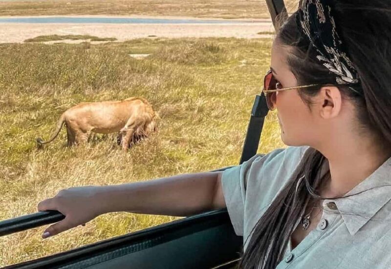 Arusha: 4-Day Ndutu Migration Safari and Ngorongoro Crater - Introduction to the Tour