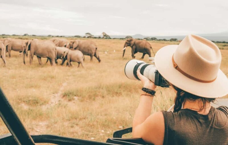 Arusha: 4-Day Ndutu Migration Safari and Ngorongoro Crater - FAQs