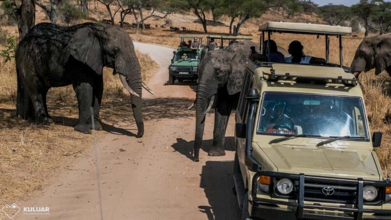 Arusha: 4-Day Safari to Tarangire, Ngorongoro & Lake Manyara - A Closer Look at the 4-Day Safari Itinerary