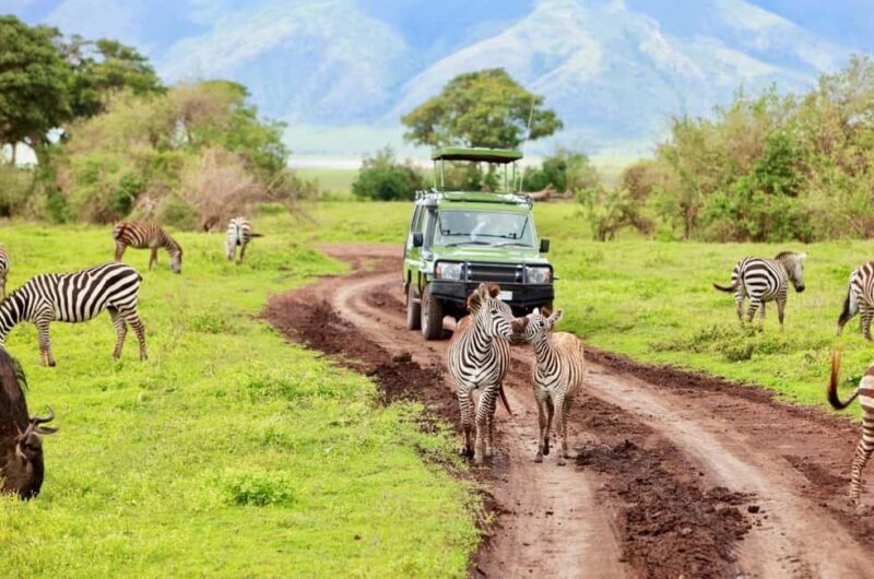Arusha: 4-Day Safari to Tarangire, Ngorongoro & Lake Manyara - Who Will Love This Safari?