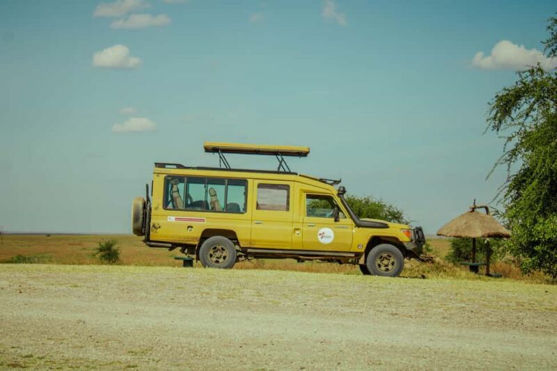Arusha: 4-Day Safari with Full-Board Accommodations - Final Thoughts