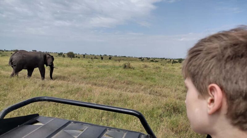 Arusha: 4-Day Serengeti, Ngorongoro & Tarangire Safari - The Experience on the Ground: What Travelers Have Said