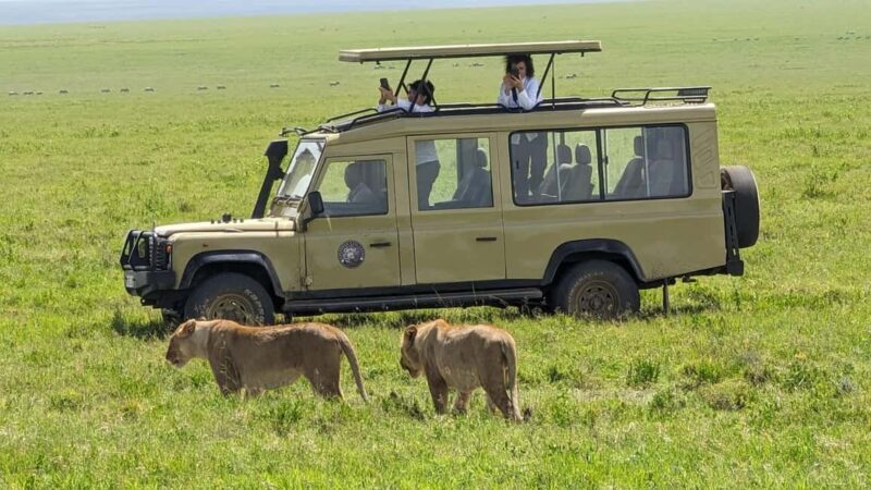 Arusha: 4-Day Tarangire, Serengeti, and Ngorongoro Safari - The Itinerary in Detail