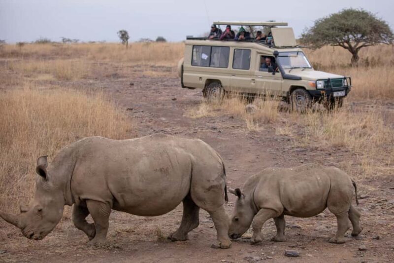 Arusha: 4 Days Safari to Tarangire, Serengeti & Ngorongoro - Who Would Love This Safari?