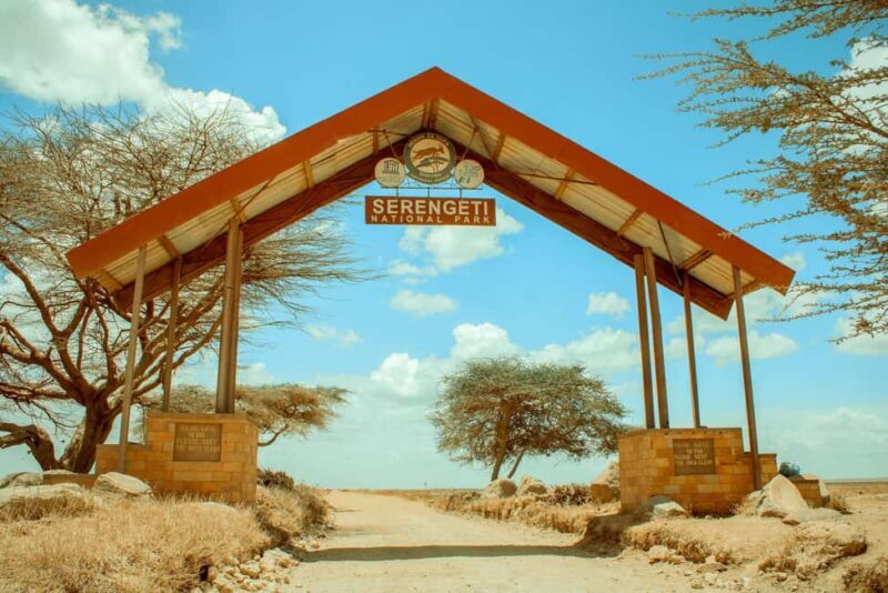 Arusha: 5-Day Ndutu Calving Season Serengeti Safari - Key Points  
