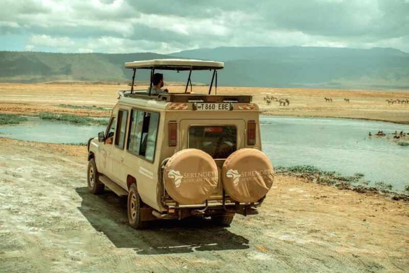 Arusha: 5-Day Ndutu Calving Season Serengeti Safari - Introduction to the 5-Day Serengeti Safari Experience  