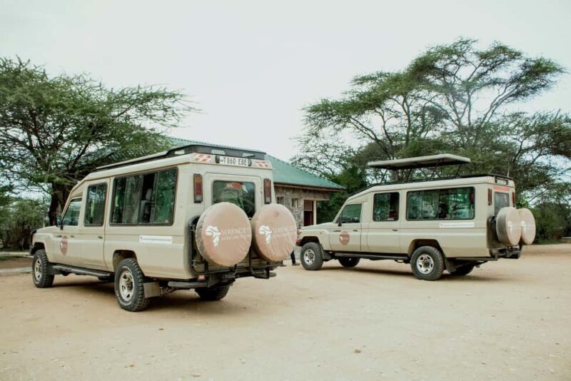 Arusha: 5-Day Ndutu Calving Season Serengeti Safari - Practical Tips for Travelers  