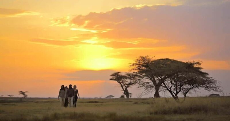 Arusha: 5-Day Serengeti National Park Tent Safari - Why Choose a Camping Safari Like This?